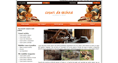 Desktop Screenshot of cosurirachita.ro